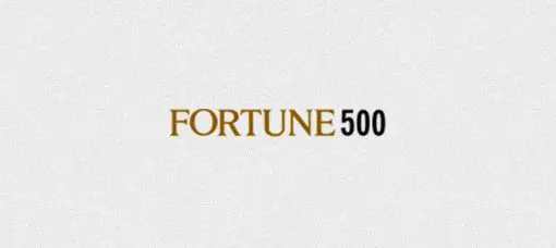 2003_fortune500 2003 fortune