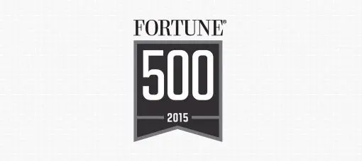 2015_fortune500 2015 fortune